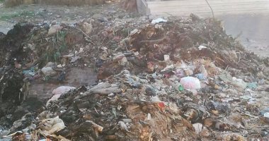 بالصور.. شكوى من تراكم القمامة فى عزبة العجيزى بالغربية