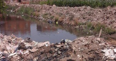 بالصور.. "رشاح" سرياقوس بالقليوبية يتسبب فى انتشار القوارض والناموس