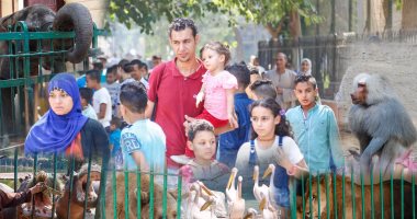 بعد 13 عاما من خروجها من الاتحاد الدولى.. لأول مرة مجلس أمناء لحديقة حيوان الجيزة.."الزراعة ": خطة تطوير لإعادتها لمكانتها التاريخية.. البنا: ستكون عاملا لجذب السياحة.. منى محرز: طرق غير تقليدية لحل مشاكل الصرف