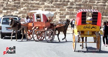 6800 زائر لـ منطقة الهرم فى الفترة الصباحية 