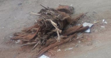سقوط غطاء بلاعة بداخلها يهدد حياة المارة فى قرية منية سلمنت بالشرقية