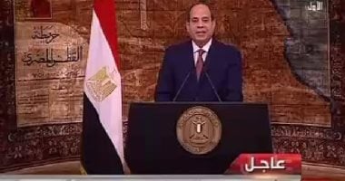 السيسي: المؤرخون والباحثون سيتوقفون كثيرا أمام ثورة 30 يونيو