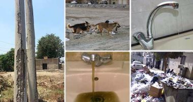 "دفتر أحوال المواطن".. تهالك أعمدة الضغط العالى بستامون فى الدقهلية.. اختلاط مياه الشرب بالمجارى بعزبة النخل.. انقطاع المياه 11 ساعة يوميًا بالمرج الجديدة.. انتشار الكلاب الضالة يثير غضب أهالى حدائق الأهرام