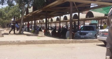 محافظ كفر الشيخ: متابعة التزام السائقين بتعريفة الركوب وتغريم المخالفين