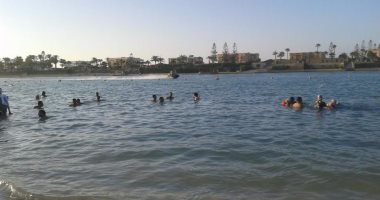 "علوم البحار": قناديل البحر على الشواطئ لها فوائد كثيرة أبرزها تأخير الشيخوخة