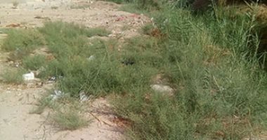 بالصور.. أهالى حى البستان بالخارجة يتضررون من مصرف زراعى ملوث 
