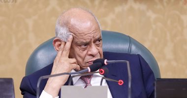 مجلس النواب يوافق نهائيا على قانون إنشاء المجلس القومى لحقوق الإنسان