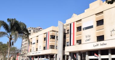 سيدة فى دعوى خلع بالمنصورة: "جوزى بروطه مابيشتغلش وإخواته بيصرفوا عليه"
