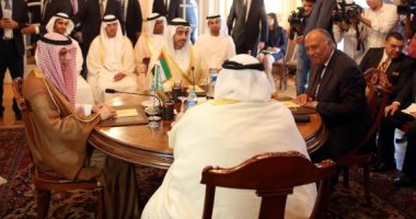سامح شكرى: نعمل على التنسيق والتشاور بين أشقائنا لتعزيز الموقف العربى