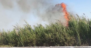 حريق هائل يلتهم حظيرة بداخلها 6 أبقار بمركز قفط