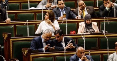 البرلمان يقر اتفاقية منحة بـ800 ألف يورو لإعادة تأهيل متحف الفن الإسلامى