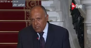 سامح شكرى: نتعامل مع المنظمات الإرهابية كوحدة واحدة