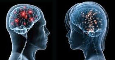 أنواع الغدد الصماء ووظيفتها فى الجسم 