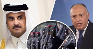 سكاى نيوز: اجتماع وزراء الدول العربية الداعية لمكافحة الإرهاب سيصبح دوريا