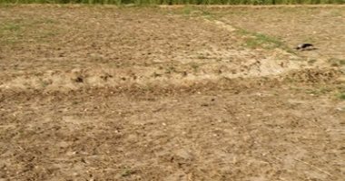 الوحدة المحلية بالغردقة تستقبل طلبات تقنين وضع اليد للأراضى المملوكة للدولة