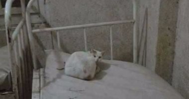 بالصور.. الإهمال يضرب مستشفى نقادة المركزى بقنا