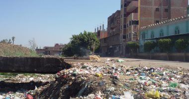 بالصور.. مقلب قمامة بقرية حلابة فى قليوب يهدد صحة المواطنين