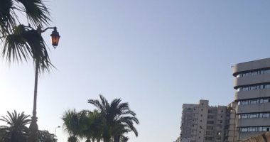 قارئ يرصد إنارة أعمدة الكهرباء نهارا فى شوارع الإسكندرية