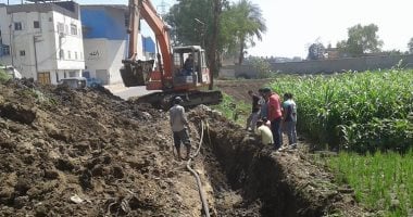 بالصور.. إصلاح وصيانة خط المياه بفوة وبدء حملة تحصين الماشية بكفر الشيخ