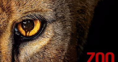 الخميس.. مفاجآت مثيرة فى ثالث حلقات مسلسل الإثارة والخيال العلمى Zoo