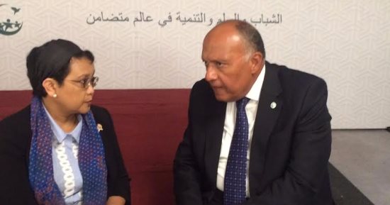 سامح شكرى يبحث مع وزيرة خارجية إندونيسيا "أزمة قطر" وتجفيف منابع الإرهاب