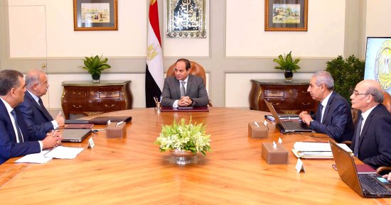 الرئيس السيسى يوجه بتحديد سعر مناسب لتوريد القطن من المزارعين