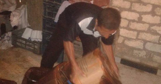 بالصور.. ضبط 2 طن جبن وألبان فاسدة وبه حشرات وشوائب فى بنى سويف