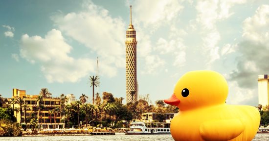 ماونتن فيو" تشعل مواقع التواصل الاجتماعي بحملة  #stalktheduck