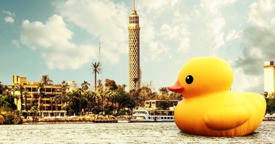 هاشتاج ماونتن فيو "#لو كنت بطة هتعمل ايه؟! الأول على قائمة تريندات تويتر