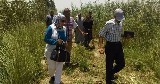 بالصور .. مرسى نهرى للفحم يهدد أهالى العامرية.. و"البيئة" تعاين الموقع