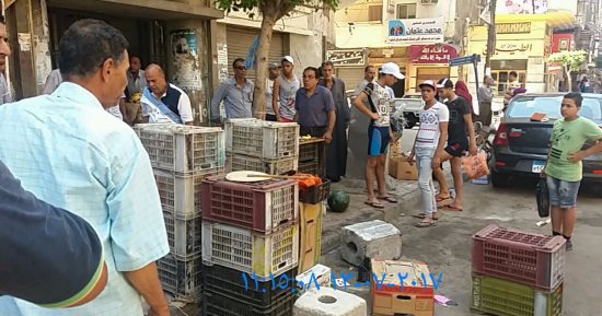 محافظة الإسكندرية: ضبط 6 محال تدار بدون ترخيص بالجمرك