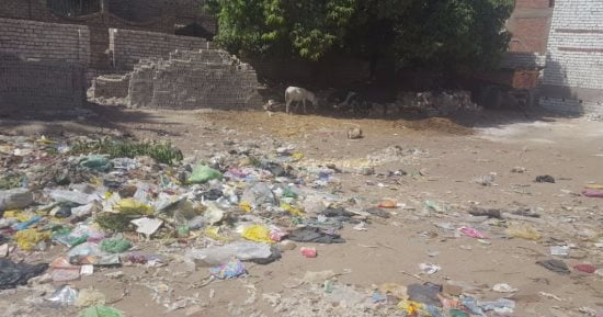 بالصور.. القمامة تحاصر قرية "طحا الأعمدة" بالمنيا