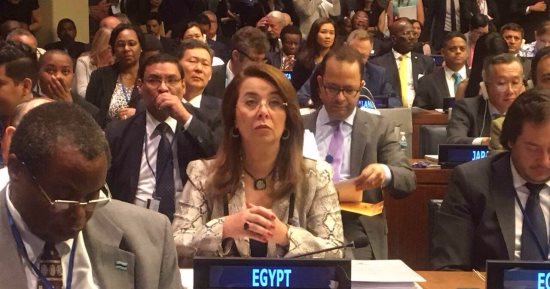 "والى" تلتقى مندوبة الأردن بالأمم المتحدة للتنسيق حول قرارات مواجهة الإرهاب