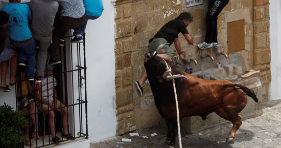 انطلاق فعاليات مهرجان " مصارعة الثيران " فى أسبانيا