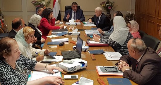 وزير قطاع الأعمال يتابع تنفيذ خطة الإصلاح والتطوير مع رؤساء شركات الأدوية