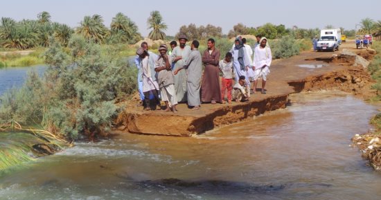 مصرع شخص وإصابة 5 آخرين إثر سقوط سلك كهرباء من عمودة إنارة بترعة فى أسيوط
