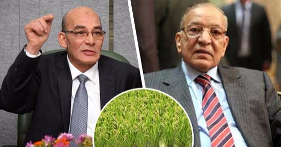 غرامات الأرز تثير جدلا بـ"زراعة البرلمان".. نائب يطالب بتخفيضها لـ50%: الفلاح يعانى الغلاء.. ووكيل اللجنة: لازم نفرق بين المخالف والملتزم.. مطالبات برفع سعر التوريد لـ5 آلاف جنيه.. ونائب: 4 آلاف يحقق هامش ربح