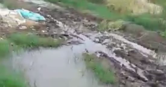 أراضى يوسف الصديق بالفيوم تغرق فى مياه الصرف الصحى 
