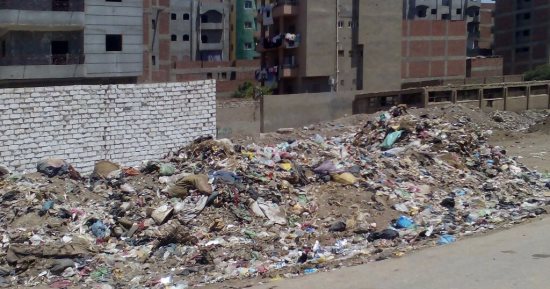 بالصور.. تراكم القمامة بجوار مجمع المدارس بقرية بطا فى بنها