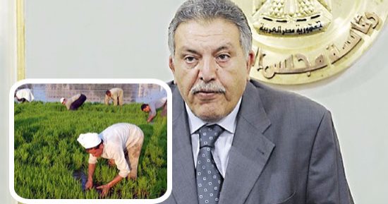 أزمة الصادرات المصرية للسودان فى طريقها للحل.. رئيس اتحاد الغرف التجارية يجرى اتصالات مع نظيره السودانى ويعلن اقتراب عودة التصدير للخرطوم.. الوكيل: لا نريد الاسترسال فى الأزمة ونبحث زراعة الحاصلات الزراعية هناك