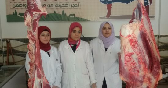 مجازر القاهرة والجيزة تفتح أبوابها اليوم مجانًا لذبح أضاحى المواطنين