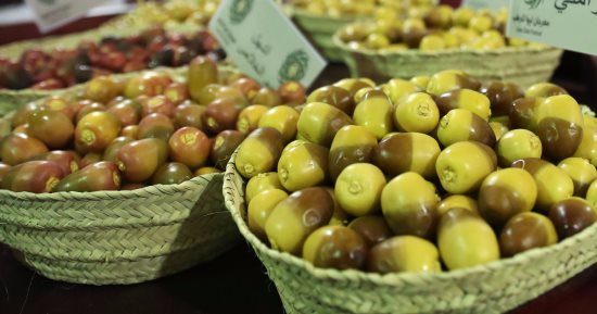 محافظ الدقهلية يحيل واقعة ضبط 7 أطنان تمر جاف بدون بيانات للنيابة   
