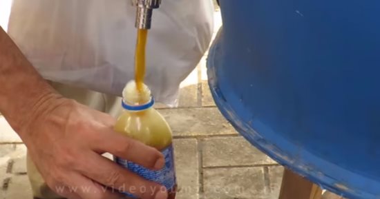 رمضانك الأخضر.. عصائر البركة العرقسوس والخروب ارتواء للروح والأرض