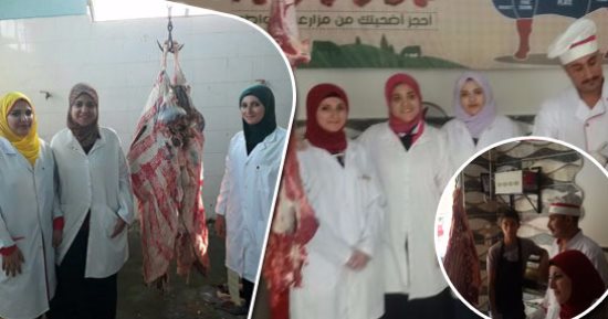 "الطب البيطرى" بالجيزة: تكثيف التفتيش على اللحوم ودعم المجازر بالأطباء