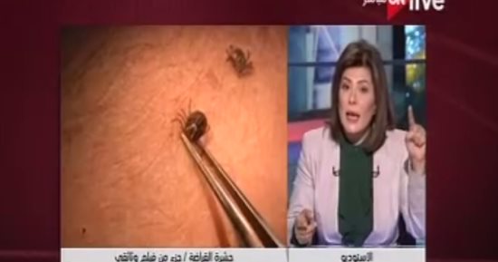 أمانى الخياط: الإرهاب جزء من المشروع العالمى لتقسيم مصر والمنطقة العربية