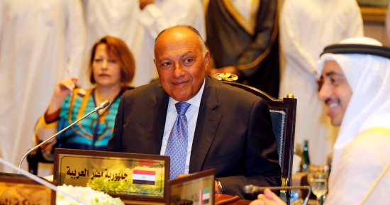 وزير الخارجية: التعاون العسكرى بين مصر والبحرين يعزز الأمن القومى العربى