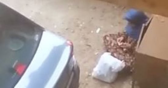 قارئ يصور متسولة تحصى نقودها أسفل محكمة الكيت كات بعد جمعها من المواطنين