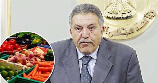 إنشاء 27 بورصة سلعية ومركز لوجستى فى المحافظات لتقليل حلقات التداول وخفض الأسعار..محلب يتولى ملف مشاورات تدشينها بمشاركة التموين والتنمية المحلية والنقل..الغرف التجارية تكلف "النقل واللوجستيات" بتجهيز الدراسات