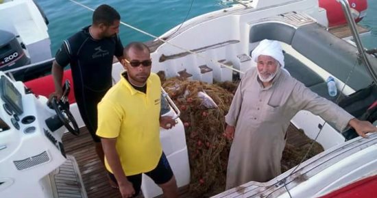 بالصور.. "هيبكا" تجمع كيلو متر شبك ملقاة على الشعاب المرجانية بالغردقة