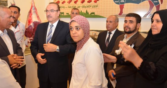 بالصور.. بعد نشر اليوم السابع قصتهن.. محافظ بنى سويف يزور محل جزارة لـ 3 طبيبات